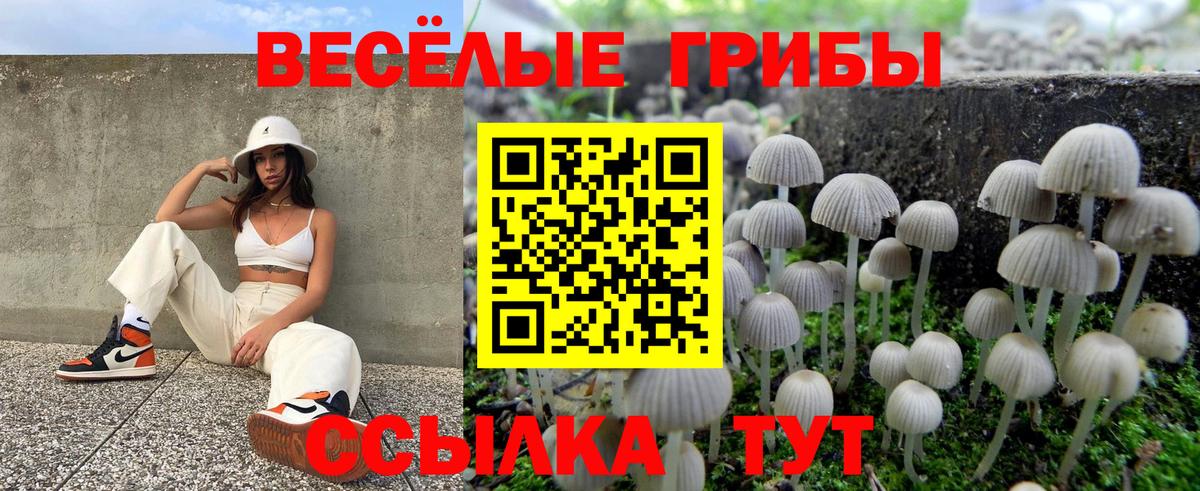 Галлюциногенные грибы прущие грибы  цена наркотик  Нарткала  Вход с VPN 